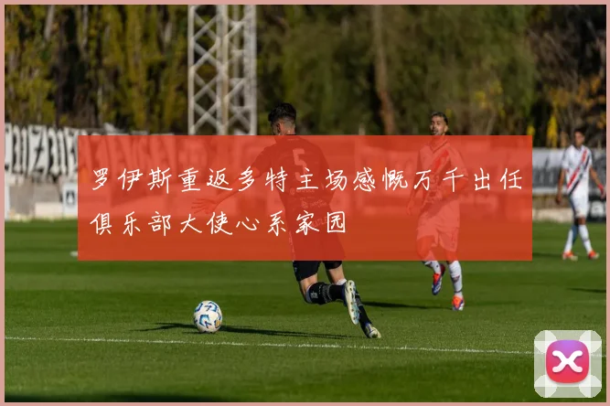 罗伊斯重返多特主场感慨万千出任俱乐部大使心系家园